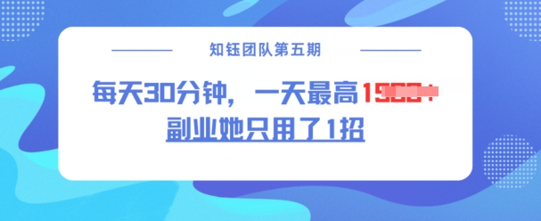 副业她只用了1招，每天30分钟，无脑二创，一天最高1.5k-E网资源