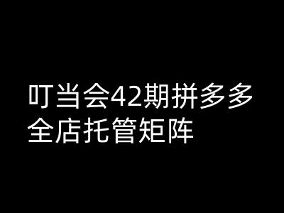 叮当会拼多多打爆班原创高阶技术第42期，拼多多全店托管矩阵-E网资源