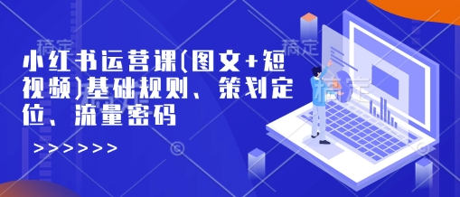 小红书运营课(图文+短视频)基础规则、策划定位、流量密码-E网资源