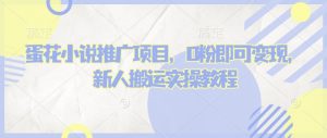 蛋花小说推文项目，0粉即可变现，新人搬运实操教程-E网资源
