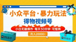 【得物】小众平台暴力玩法，一键搬运爆款视频，可矩阵，小白无脑操作，...-E网资源