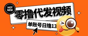 视频代发纯绿色项目，不用剪辑提供素材直接发布，0粉丝也能轻松日入50+-E网资源