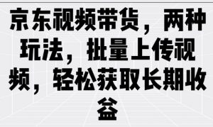 京东视频带货，两种玩法，批量上传视频，轻松获取长期收益-E网资源
