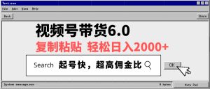 视频号带货6.0，轻松日入2000+，起号快，复制粘贴即可，超高佣金比-E网资源