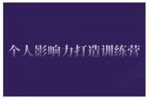 个人影响力打造训练营，掌握公域引流、私域运营、产品定位等核心技能，实现从0到1的个人IP蜕变-E网资源