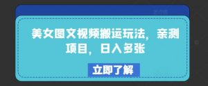 美女图文视频搬运玩法，亲测项目，日入多张-E网资源