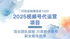 2025视频号代运营 日躺赚1000＋ 只需提供账号-E网资源
