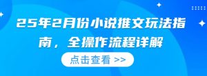 25年2月份小说推文玩法指南，全操作流程详解-E网资源