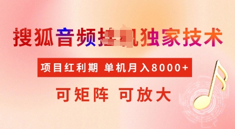 全网首发搜狐音频挂JI独家技术，项目红利期，可矩阵可放大，稳定月入8k【揭秘】-E网资源