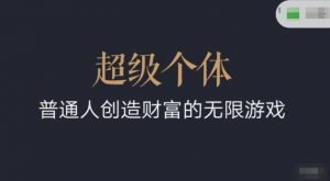 超级个体2024-2025翻盘指南，普通人创造财富的无限游戏-E网资源