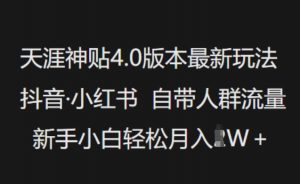 天涯神贴4.0版本最新玩法，抖音·小红书自带人群流量，新手小白轻松月入过W-E网资源