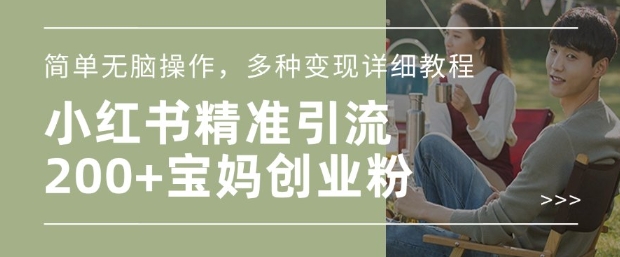 小红书混剪日引200+宝妈创业粉，简单无脑操作，多种变现详细教程-E网资源