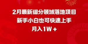 2月最新细分领域落地项目，新手小白也可快速上手，月入1W-E网资源