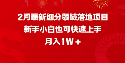 2月最新细分领域落地项目，新手小白也可快速上手，月入1W-E网资源
