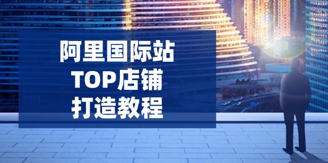 阿里国际站TOP店铺打造教程：涵盖平台到高阶，解决运营难题，提升询盘-E网资源