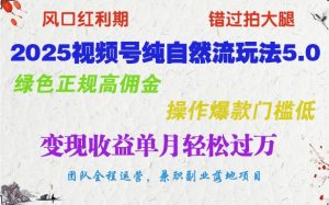 2025视频号纯自然流玩法5.0，绿色正规高佣金，操作爆款门槛低，变现收益单月轻松过万-E网资源