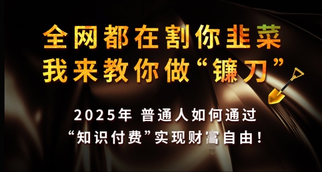 全网都在割你韭菜，我来教你做镰刀，2025年普通人如何通过 知识付费 实现财F自由【揭秘】-E网资源