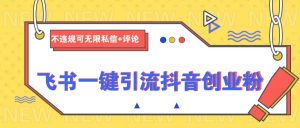 飞书一键引流抖音创业粉，不违规可 无限私信+评论-E网资源