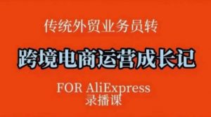跨境电商速卖通运营课，​运营方法论+后台实操，逻辑清晰-E网资源