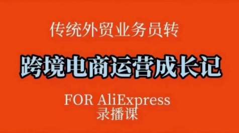 跨境电商速卖通运营课，​运营方法论+后台实操，逻辑清晰-E网资源