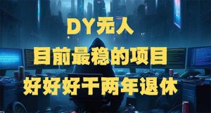 DY无人，目前最稳的项目，矩阵放大边旅游边赚钱，好好好干两年退休-E网资源