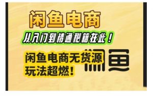 闲鱼电商实战课，从入门到精通秘籍在此，闲鱼电商无货源玩法超燃!-E网资源