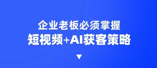 企业短视频AI获客霸屏流量课，6步短视频+AI突围法，3大霸屏抢客策略-E网资源