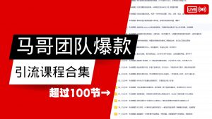 马哥团队【122节】最全项目爆款引流课程合集【持续更新】-E网资源