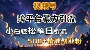跨平台暴力引流，私域完美闭环，日引500+精准创业粉-E网资源