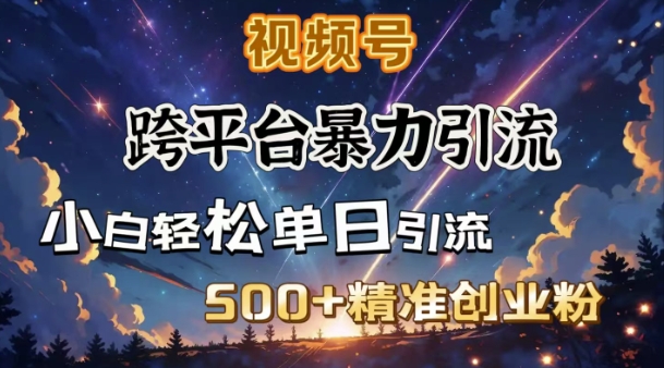 跨平台暴力引流，私域完美闭环，日引500+精准创业粉-E网资源