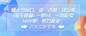 情人节风口，卖“杏商”课合集(海王秘籍-E网资源