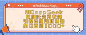 用DeepSeek做哪吒走秀视频，引爆流量涨粉利器，单日变现1k-E网资源