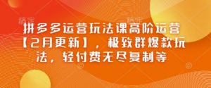 拼多多运营玩法课高阶运营【2月更新】，极致群爆款玩法，轻付费无尽复制等-E网资源