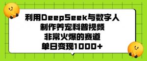 利用DeepSeek与数字人制作养宠科普视频，非常火爆的赛道，单日变现多张-E网资源