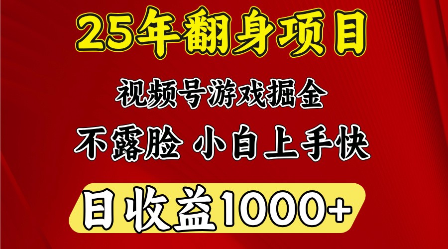 一天收益1000+ 25年开年落地好项目-E网资源