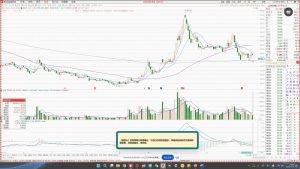 大师兄·鹿鼎山系列内部课程(更新2025年1月)-E网资源