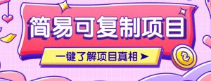 简易可复制的小众项目，每天投入3分钟，单笔可达200+【附操作流程说明】-E网资源