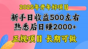 2025开年好项目，单号日收益2000左右-E网资源