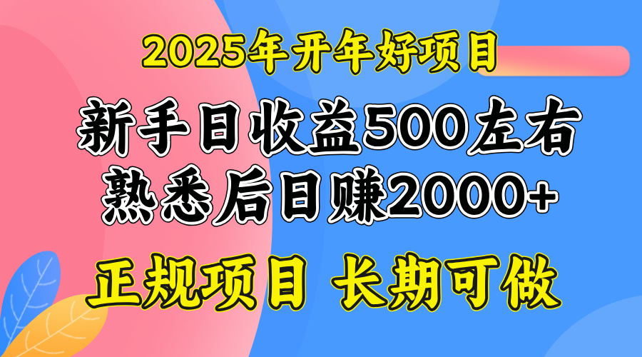 2025开年好项目，单号日收益2000左右-E网资源