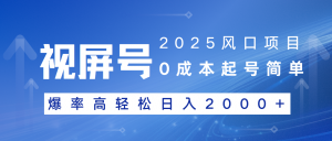 2025风口项目，视频号带货，起号简单，爆率高轻松日入2000+-E网资源