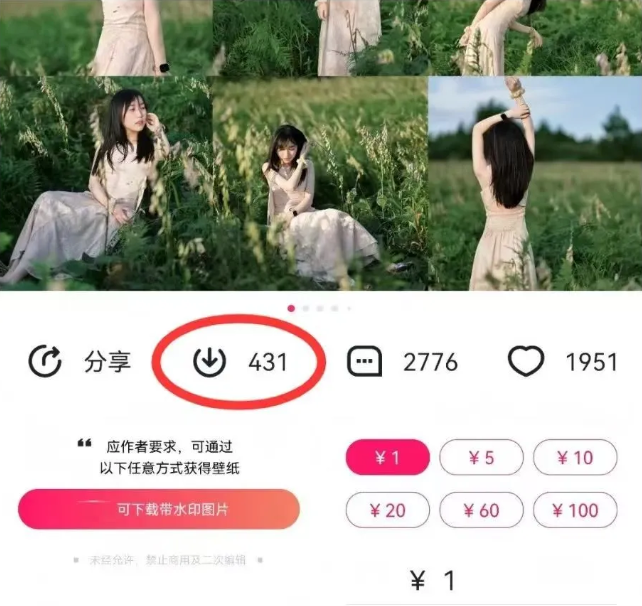最新图虫搬运项目，收益无上限，利用AI小白也可日赚500+-E网资源