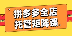 拼多多全店托管矩阵课,盈利动销玩法,高效计划设置,提升店铺效益-E网资源