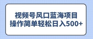 视频号风口蓝海项目，操作简单轻松日入500+-E网资源