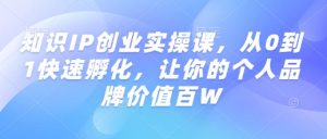 知识IP创业实操课，从0到1快速孵化，让你的个人品牌价值百W-E网资源