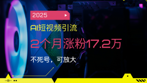 2025AI短视频引流，2个月涨粉17.2万，不死号，可放大-E网资源