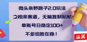 微头条野路子2.0玩法之相亲赛道，无脑搬砖复制粘贴，单账号日稳定300+...-E网资源