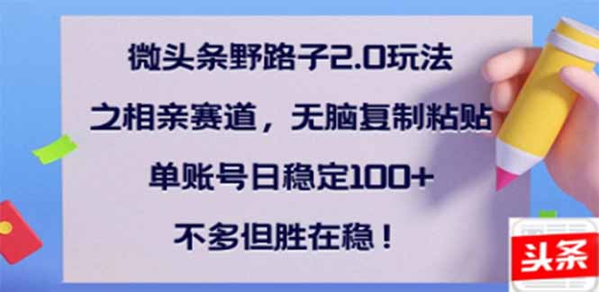 微头条野路子2.0玩法之相亲赛道，无脑搬砖复制粘贴，单账号日稳定300+…-E网资源