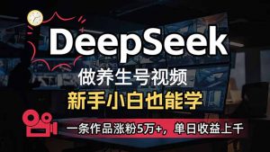小白用DeepSeek做养生号，一条作品涨粉5万+，单日收益上千-E网资源