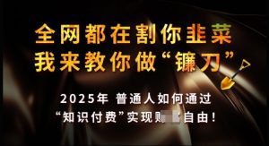 知识付费如何做到月入过W+，2025我来教你做“镰刀”【揭秘】-E网资源
