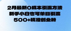 2月最新0成本引流方法，新手小白也可单日引流500+精准创业粉-E网资源